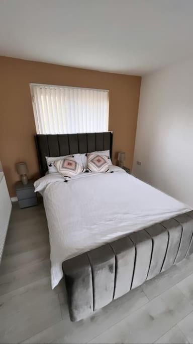 3 Stories, 5 Bedroom House In Prime Location With Balcony And Shared Garden Liverpool Eksteriør bilde